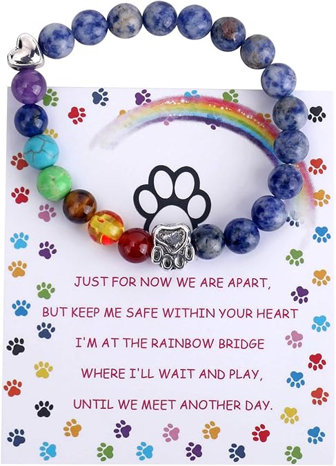 LUMIN - Rainbow Bridge Reminder Bracelet with 7 Chakra Beads