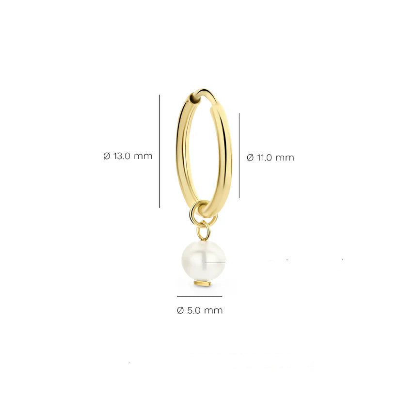 Delia Crest Earrings