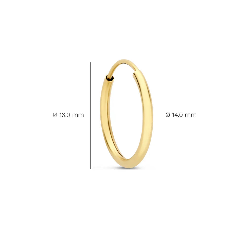 Noémie Sorel Earrings